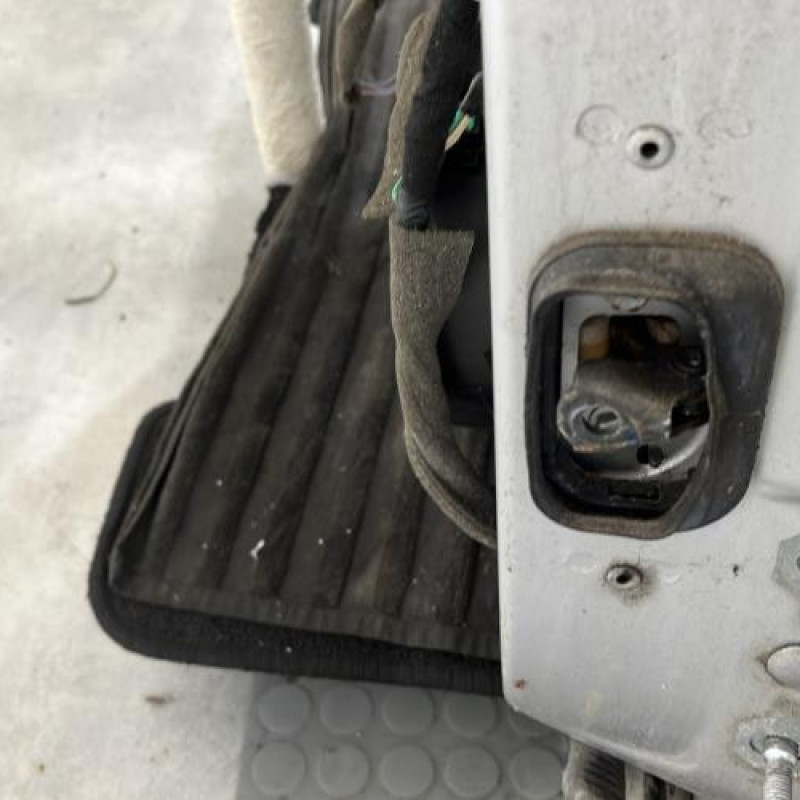 Porte arriere gauche RENAULT LAGUNA 3 Photo n°3