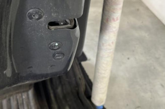 Porte arriere gauche PEUGEOT 208 1