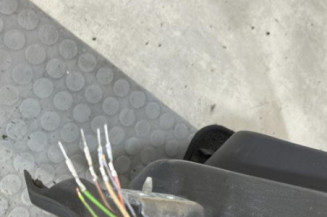 Porte arriere gauche PEUGEOT 208 1