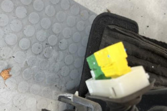 Porte avant gauche PEUGEOT 208 1