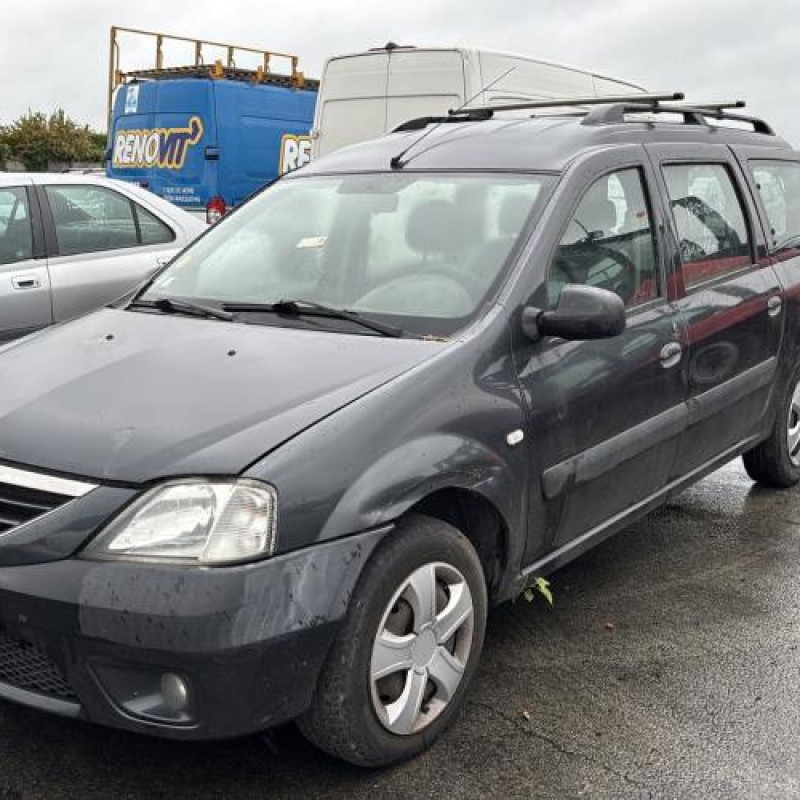 Porte arriere droit DACIA LOGAN MCV 1 Photo n°8