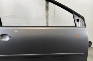 Porte avant droit VOLKSWAGEN POLO 4 Photo n°1
