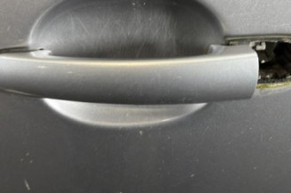 Porte avant gauche VOLKSWAGEN POLO 4