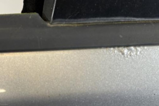 Porte avant gauche VOLKSWAGEN POLO 4