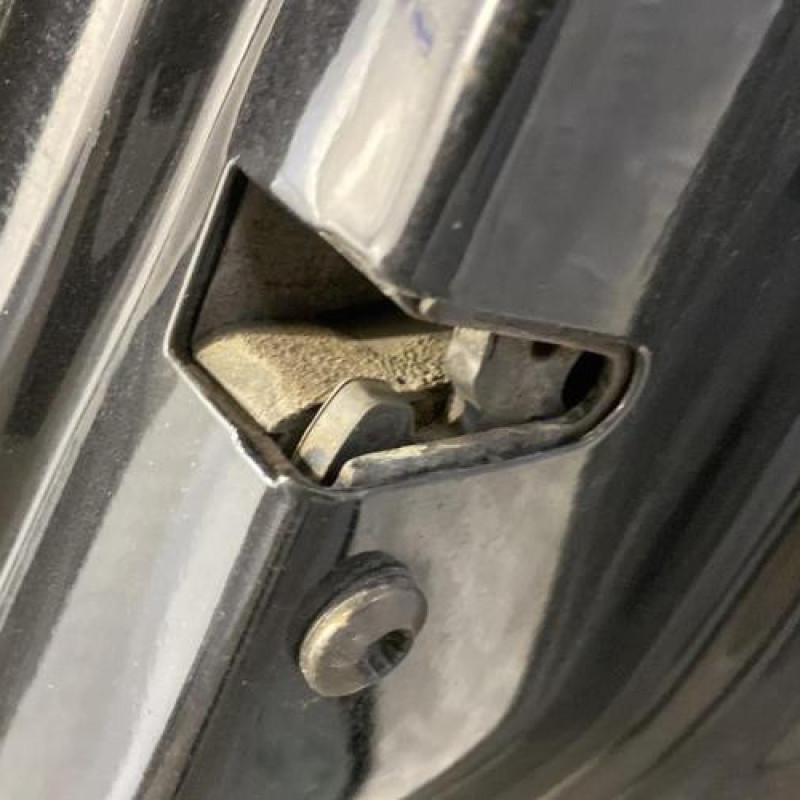 Porte arriere droit SEAT IBIZA 3 Photo n°3