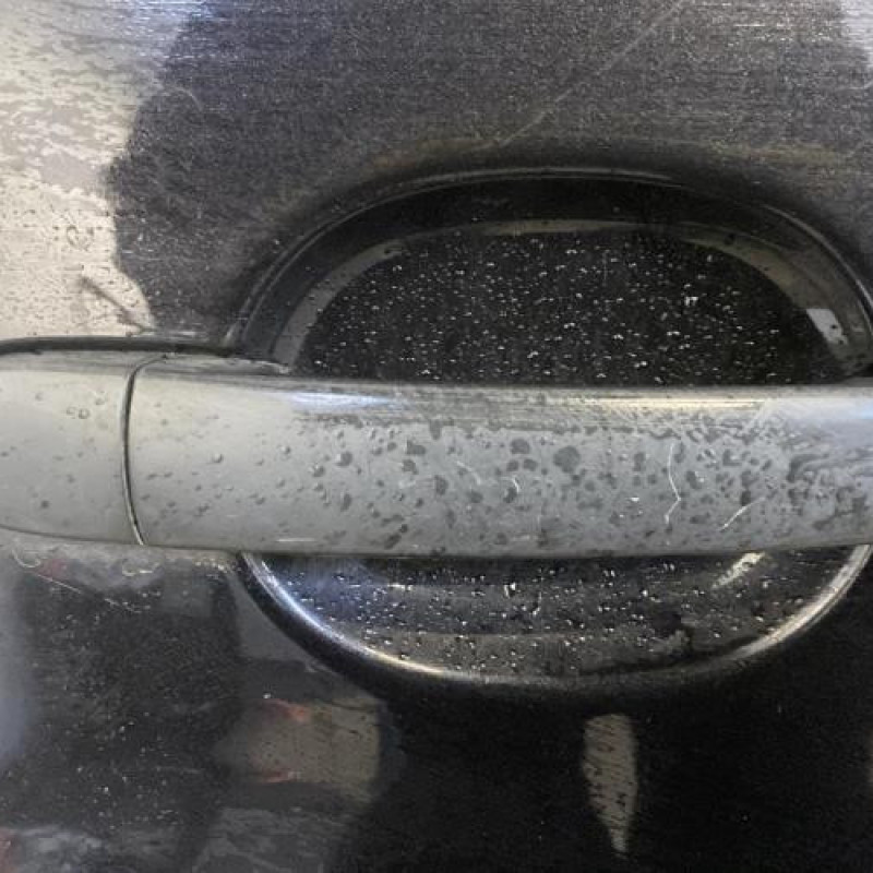 Porte arriere droit SEAT IBIZA 3 Photo n°5