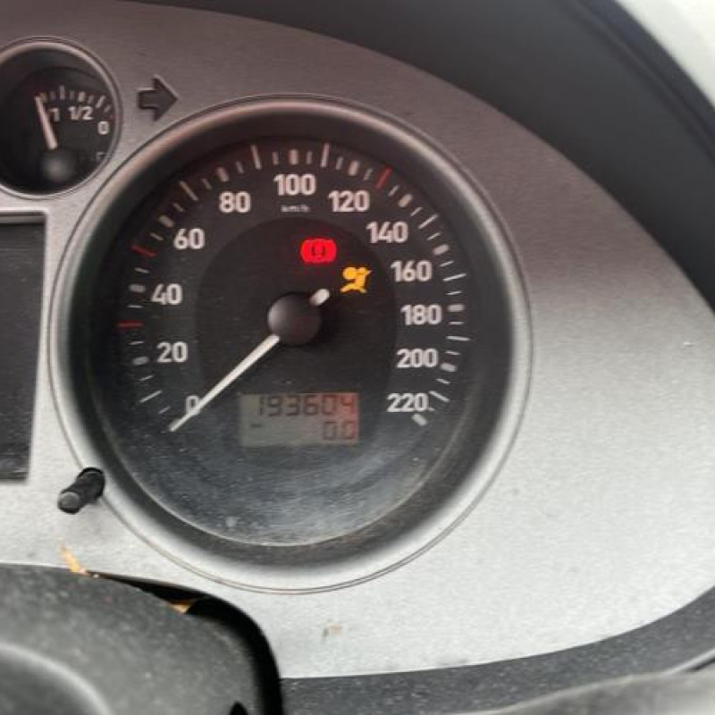 Porte arriere droit SEAT IBIZA 3 Photo n°6