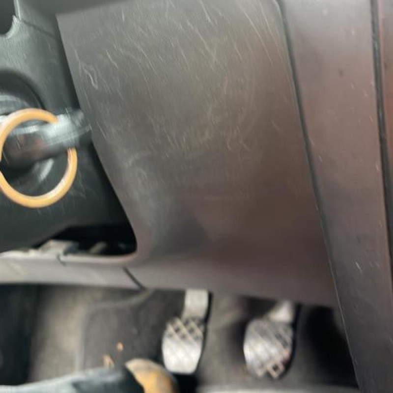 Porte arriere droit SEAT IBIZA 3 Photo n°7