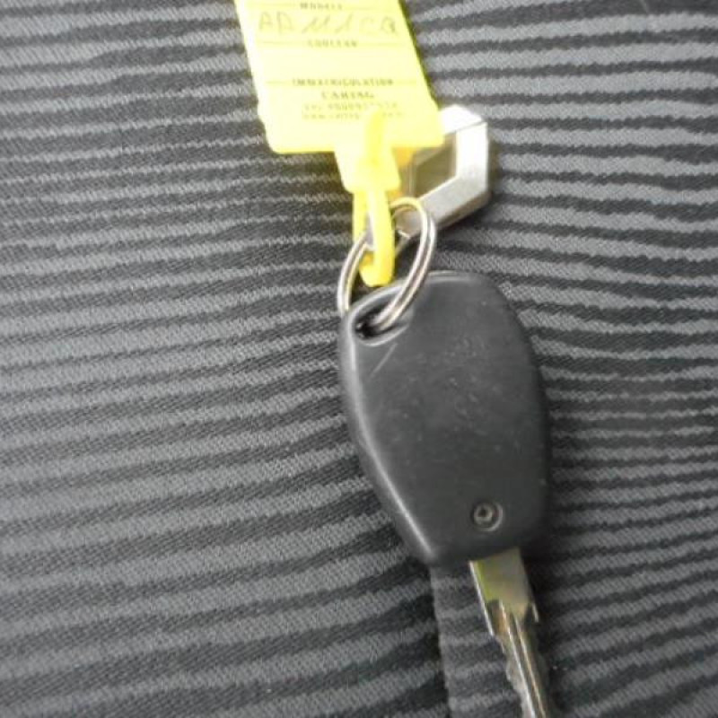 Malle/Hayon arriere DACIA SANDERO 1 Photo n°10