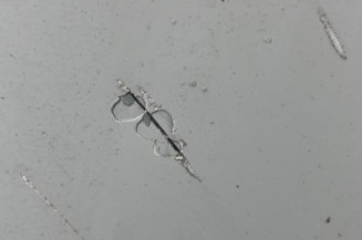 Capot BMW SERIE 1 E87