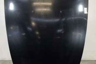 Capot BMW Z4 E85 Photo n°1