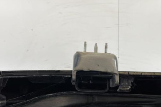 Malle/Hayon arriere CITROEN C4 PICASSO 1