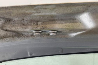 Malle/Hayon arriere CITROEN XSARA PICASSO