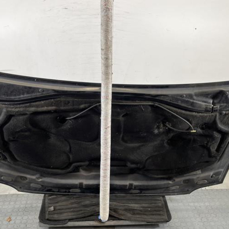 Capot DACIA LOGAN 1 Photo n°10