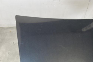 Malle/Hayon arriere DACIA LOGAN 1