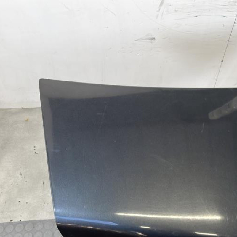 Malle/Hayon arriere DACIA LOGAN 1 Photo n°2