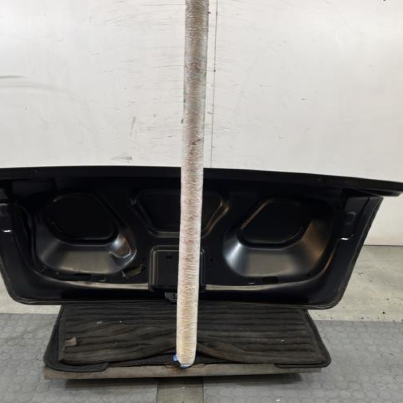 Malle/Hayon arriere DACIA LOGAN 1 Photo n°7