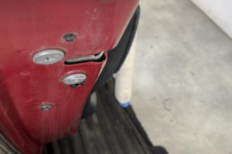 Porte arriere gauche CITROEN C4 PICASSO 1