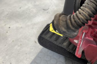 Porte arriere gauche CITROEN C4 PICASSO 1