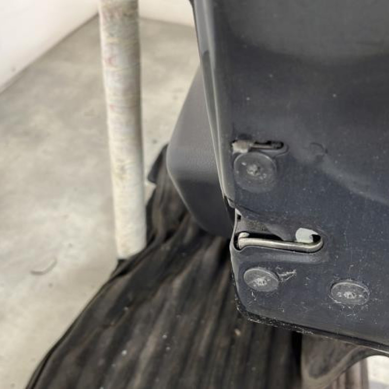 Porte arriere droit DACIA LOGAN 1 Photo n°3