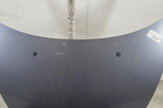 Capot CITROEN C3 1 Photo n°1