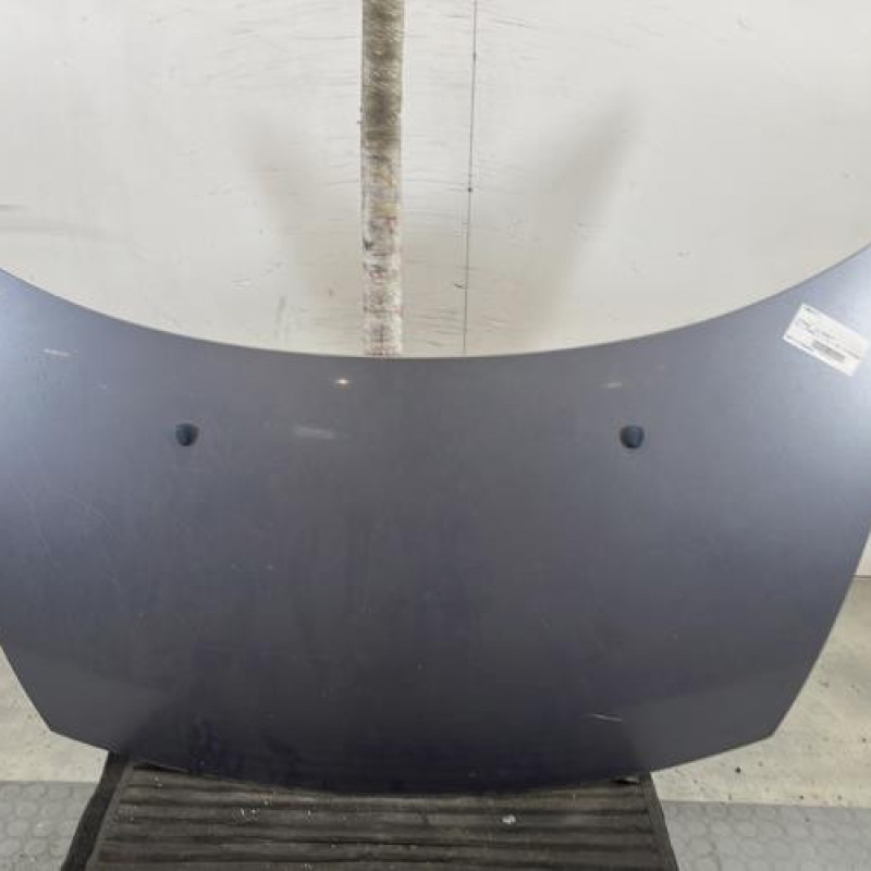 Capot CITROEN C3 1 Photo n°1