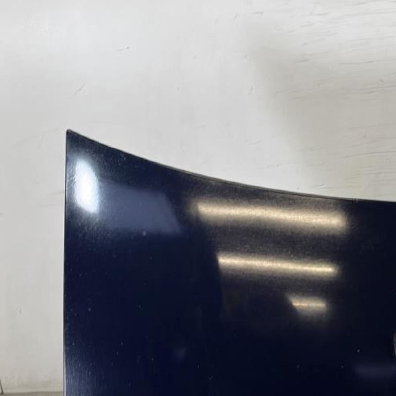 Capot FORD FUSION Photo n°2