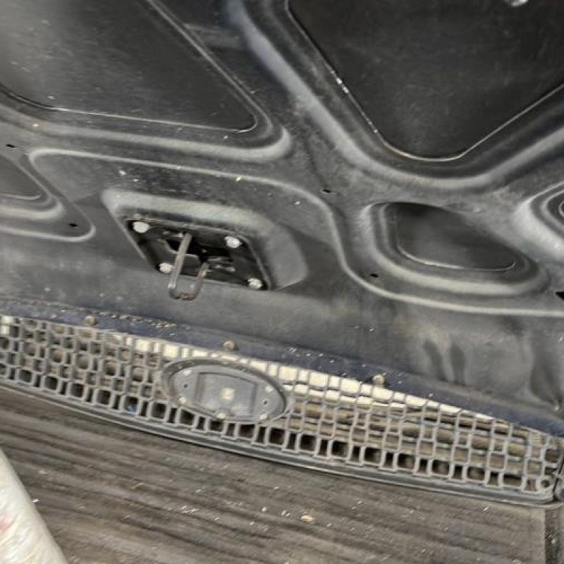 Capot FORD FUSION Photo n°8