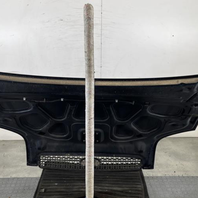 Capot FORD FUSION Photo n°9