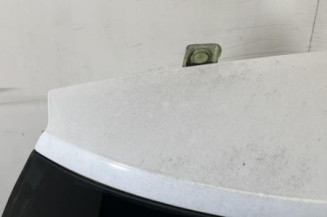 Malle/Hayon arriere RENAULT MEGANE 2