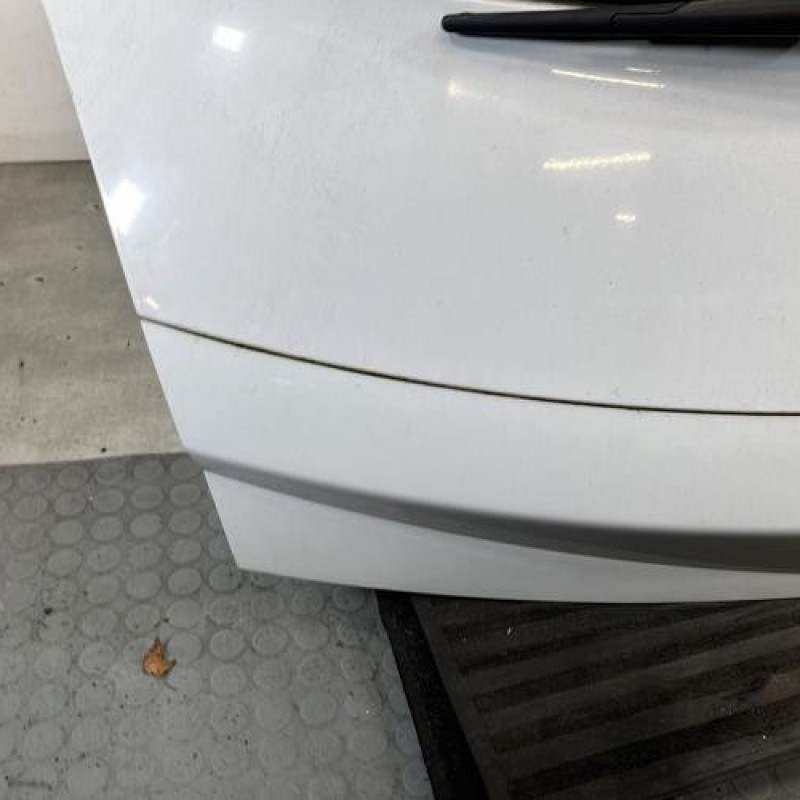 Malle/Hayon arriere RENAULT MEGANE 2 Photo n°6