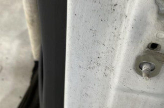 Porte arriere gauche RENAULT MEGANE 2