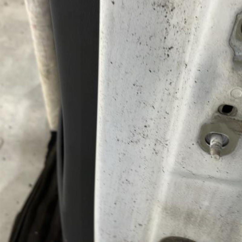 Porte arriere gauche RENAULT MEGANE 2 Photo n°4