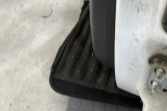 Porte arriere gauche RENAULT MEGANE 2