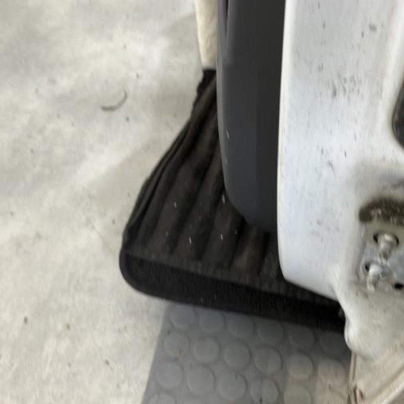 Porte arriere gauche RENAULT MEGANE 2 Photo n°5