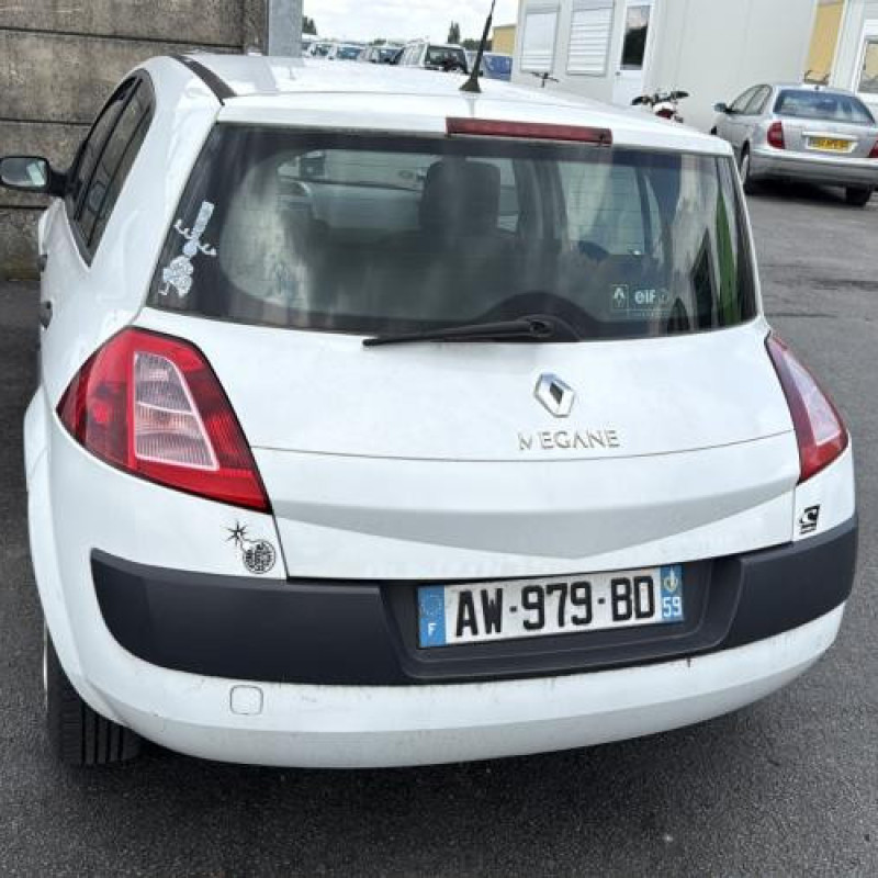 Porte arriere gauche RENAULT MEGANE 2 Photo n°10