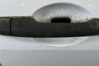 Porte avant droit RENAULT MEGANE 2