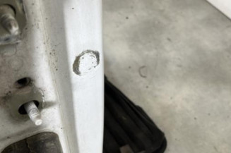 Porte avant droit RENAULT MEGANE 2