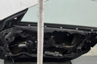 Porte avant droit BMW Z4 E85