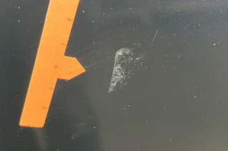 Porte arriere gauche NISSAN PATHFINDER 2