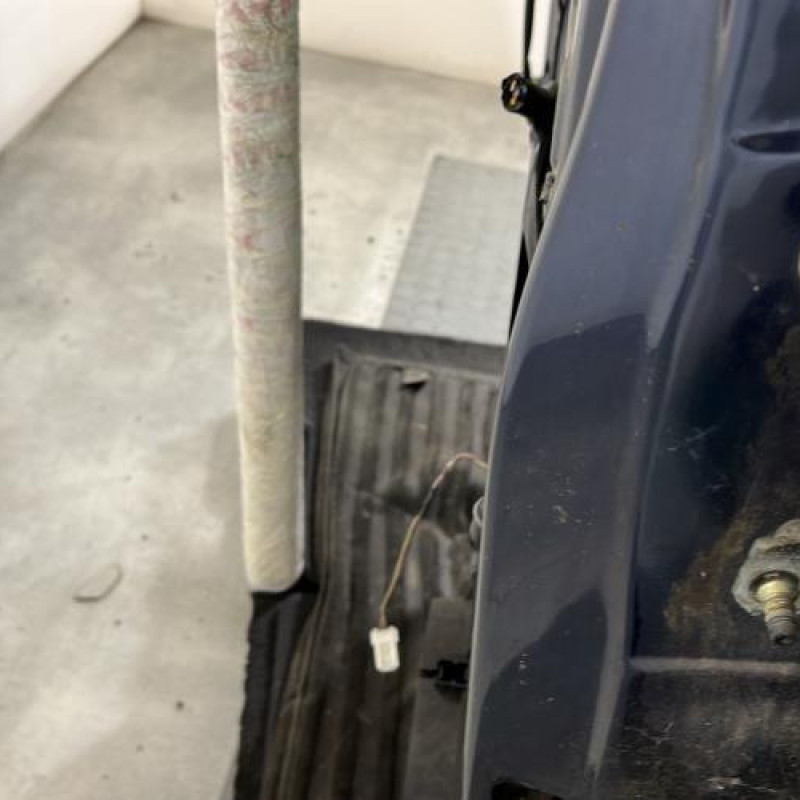 Porte arriere gauche NISSAN PATHFINDER 2 Photo n°3