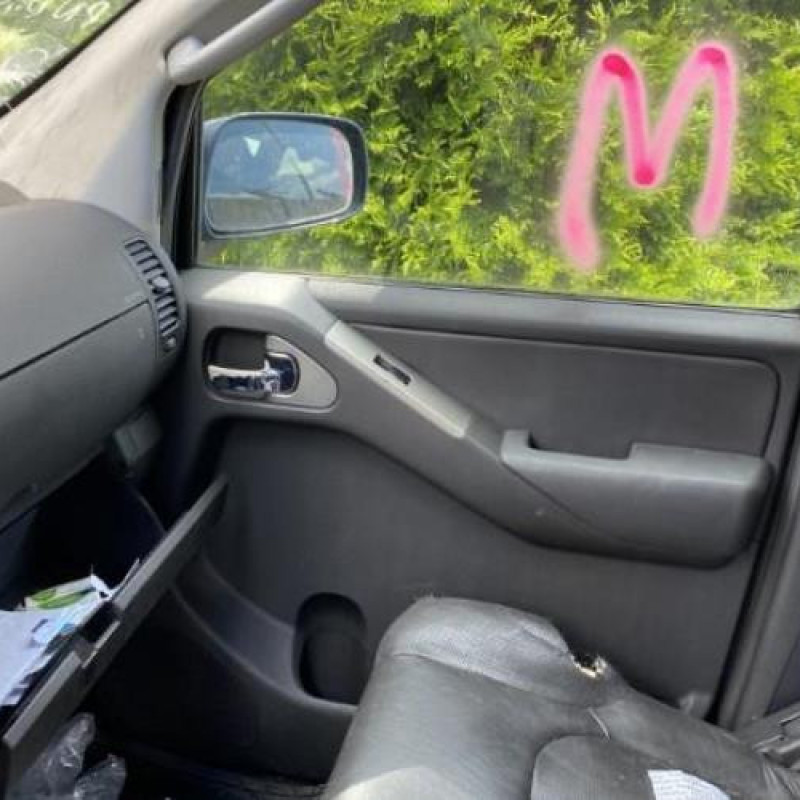 Porte arriere gauche NISSAN PATHFINDER 2 Photo n°9
