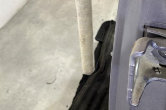 Porte arriere gauche CITROEN C3 1