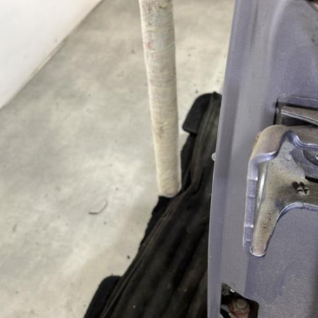 Porte arriere gauche CITROEN C3 1