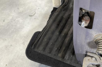 Porte arriere gauche CITROEN C3 1