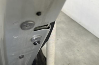 Porte arriere gauche CITROEN C4 PICASSO 1