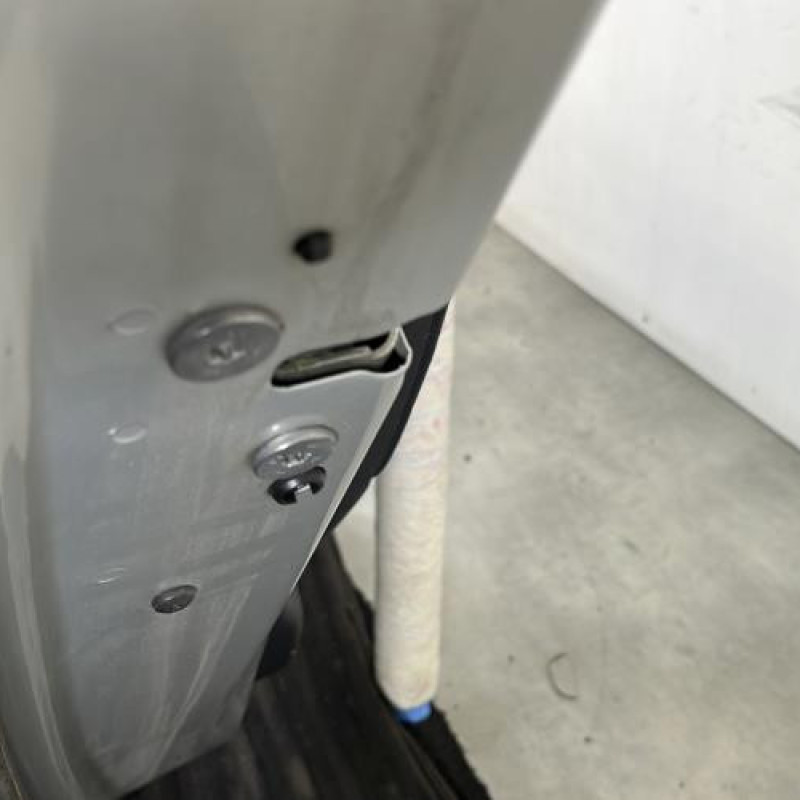 Porte arriere gauche CITROEN C4 PICASSO 1 Photo n°3