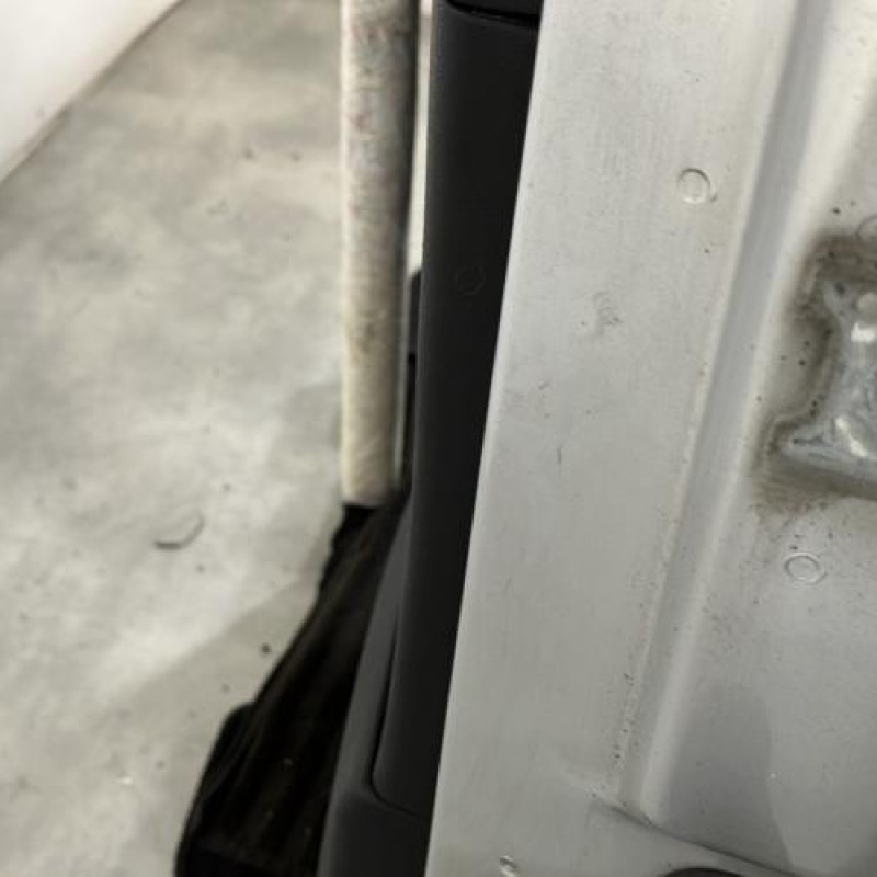 Porte arriere gauche CITROEN C4 PICASSO 1 Photo n°4