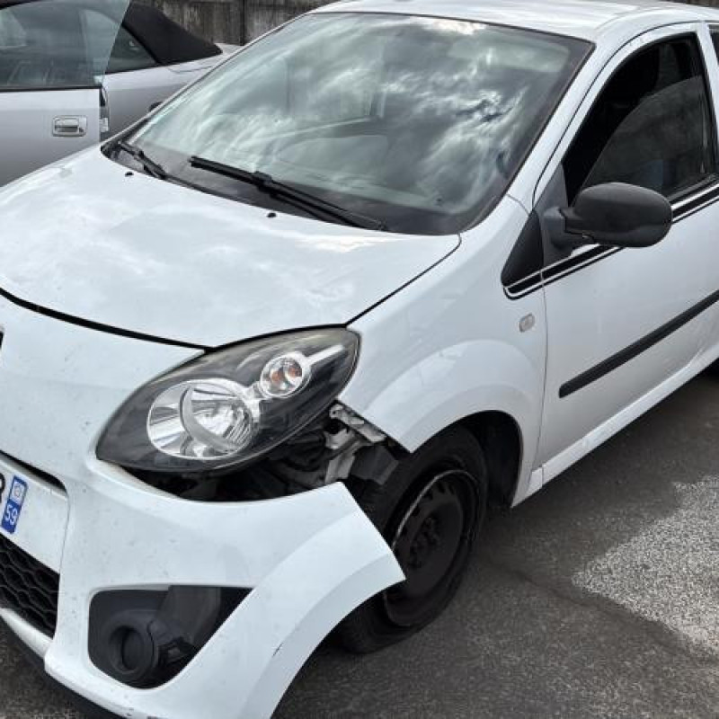 Porte avant droit RENAULT TWINGO 2 Photo n°6