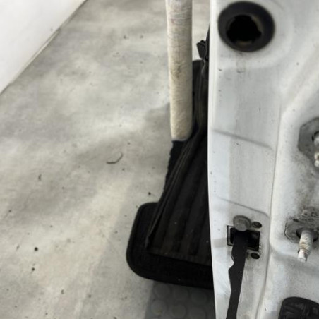 Porte avant gauche RENAULT TWINGO 2